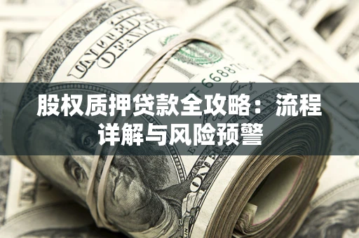 北京股权质押贷款全攻略：流程详解与风险预警