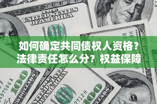 北京如何确定共同债权人资格？法律责任怎么分？权益保障技巧揭秘！