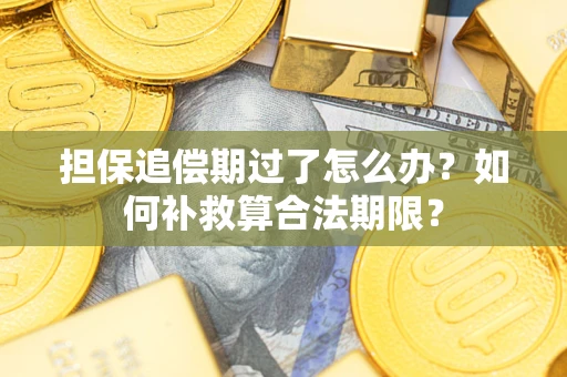 北京担保追偿期过了怎么办？如何补救算合法期限？