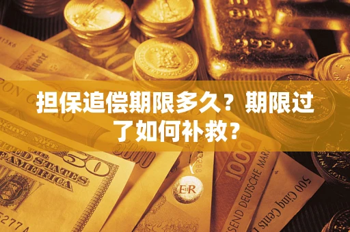 北京担保追偿期限多久？期限过了如何补救？