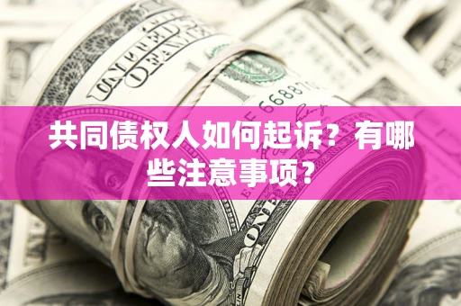北京共同债权人如何起诉？有哪些注意事项？